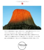 Verre à whisky à l'ancienne japonais – Image 23